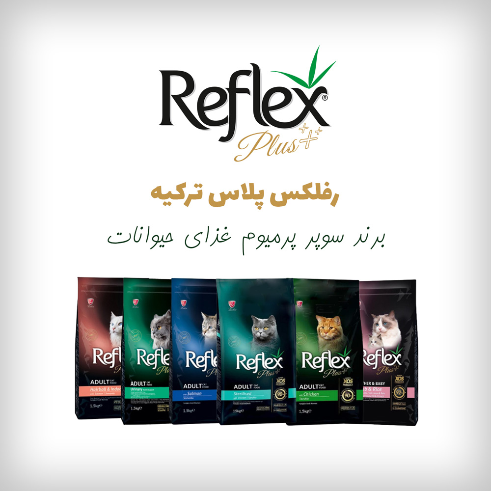 banner-reflex-plus-1